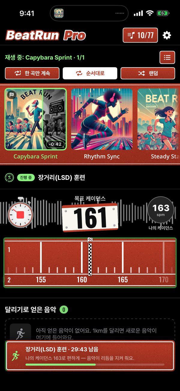 장거리(LSD) 훈련
